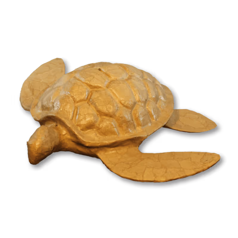 Biodegradable Sea Turtle