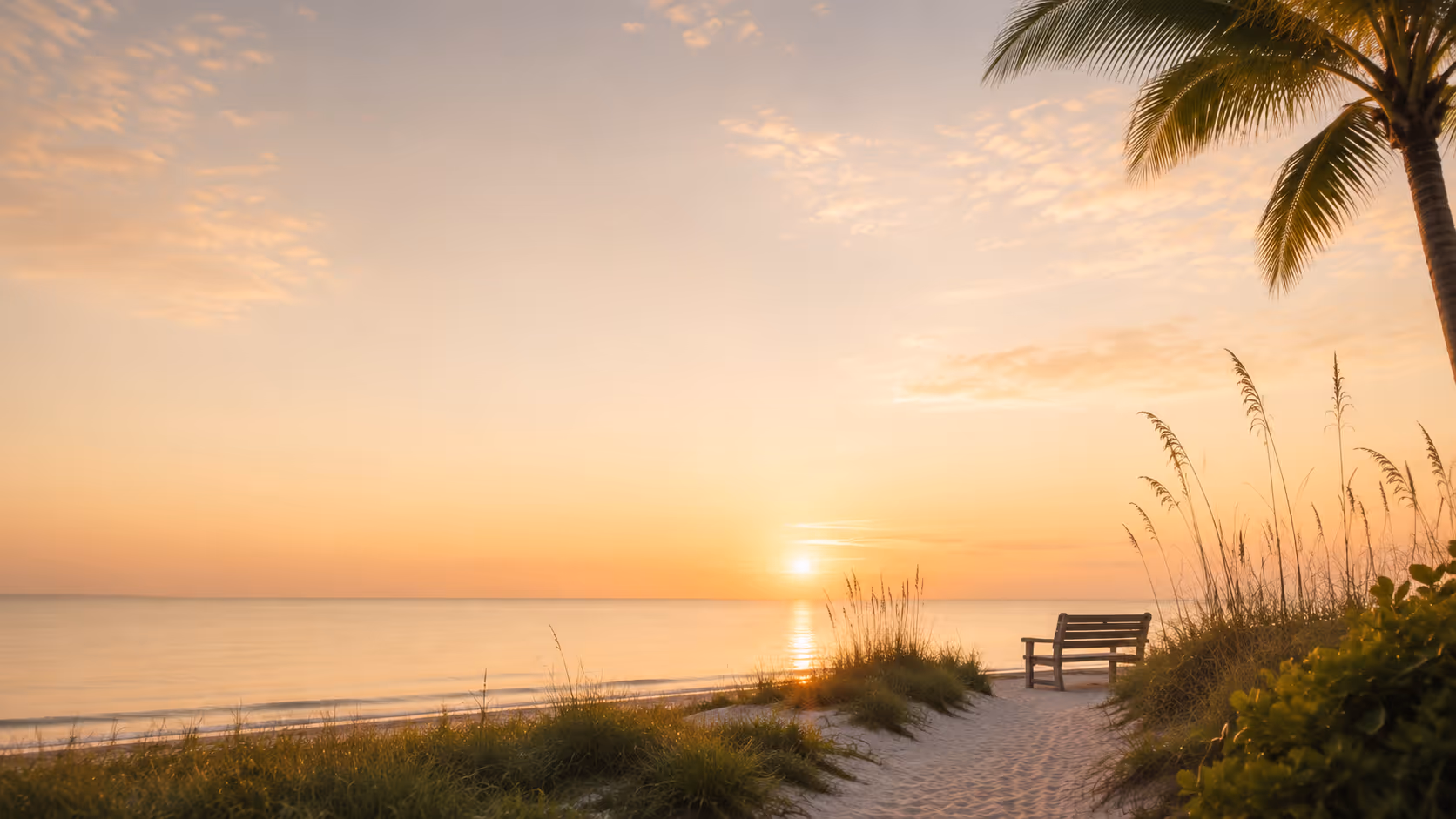Sunset over the Gulf of Mexico from a Florida beach, with a bench among the sea oats beneath a palm.